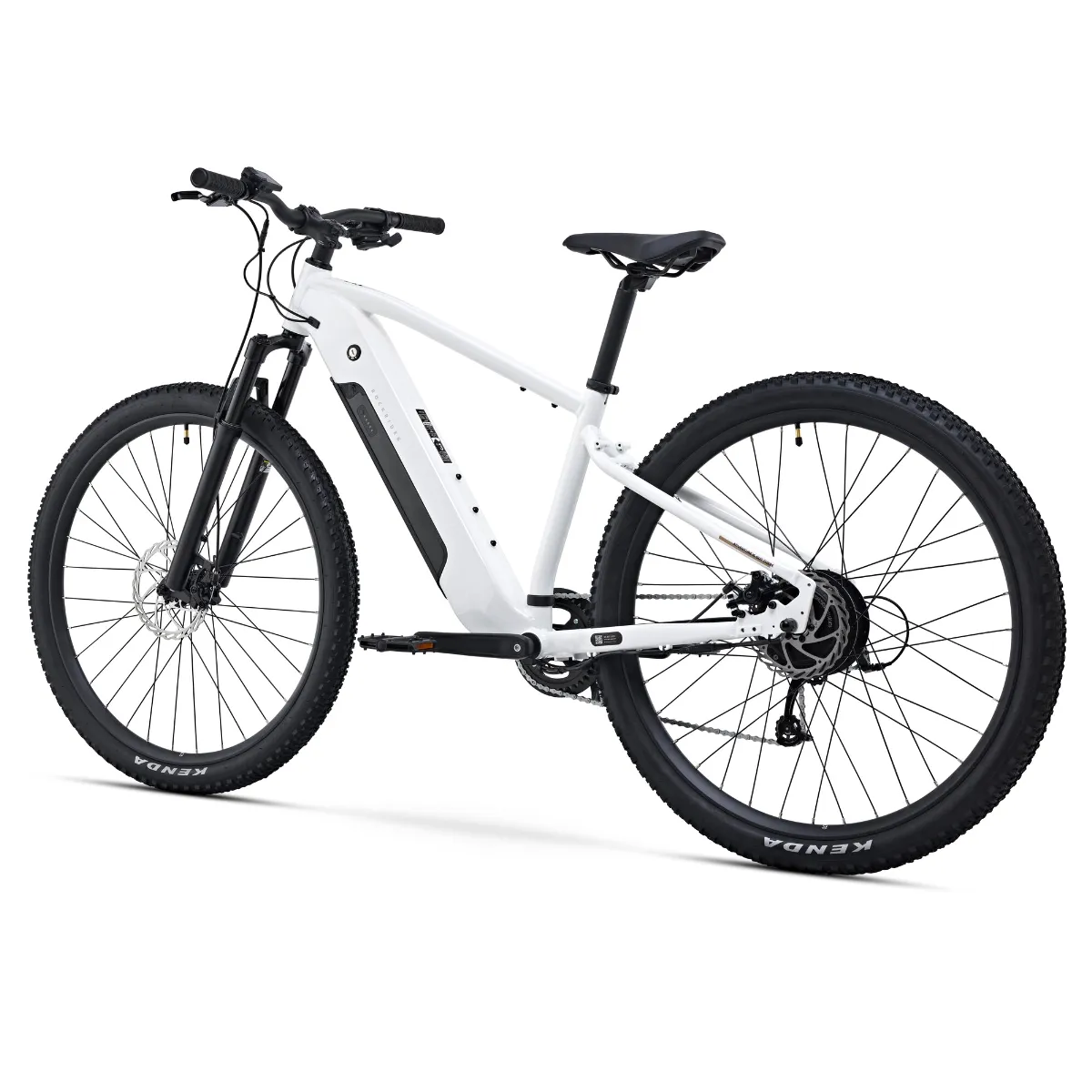 The e-bike seen from the back at an angle