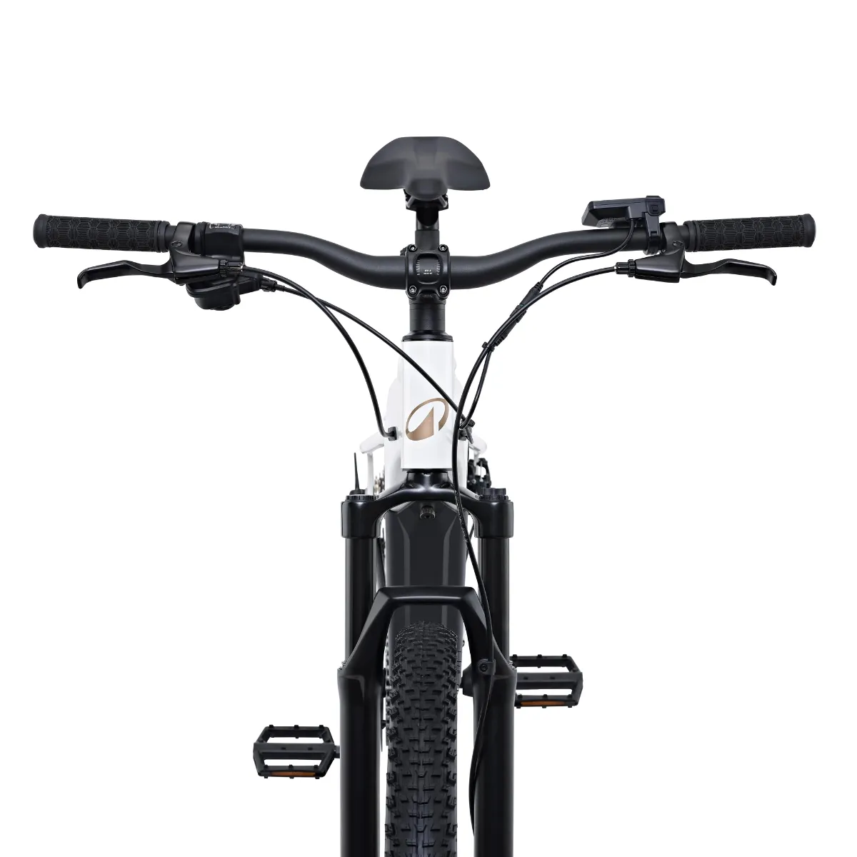 Handlebar, brake levers and front suspension from the front