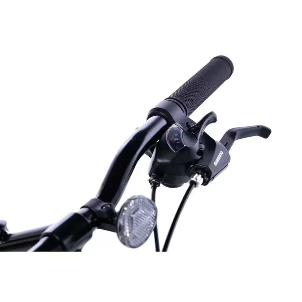 Gear shifter, brake lever and grip