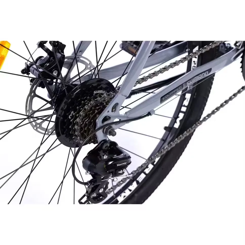 Cassette and chain from behind